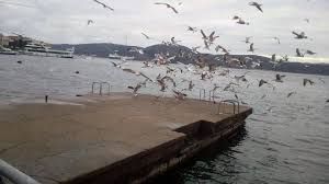Sarıyer Çıkışlı Teknede Şirket Yemeği